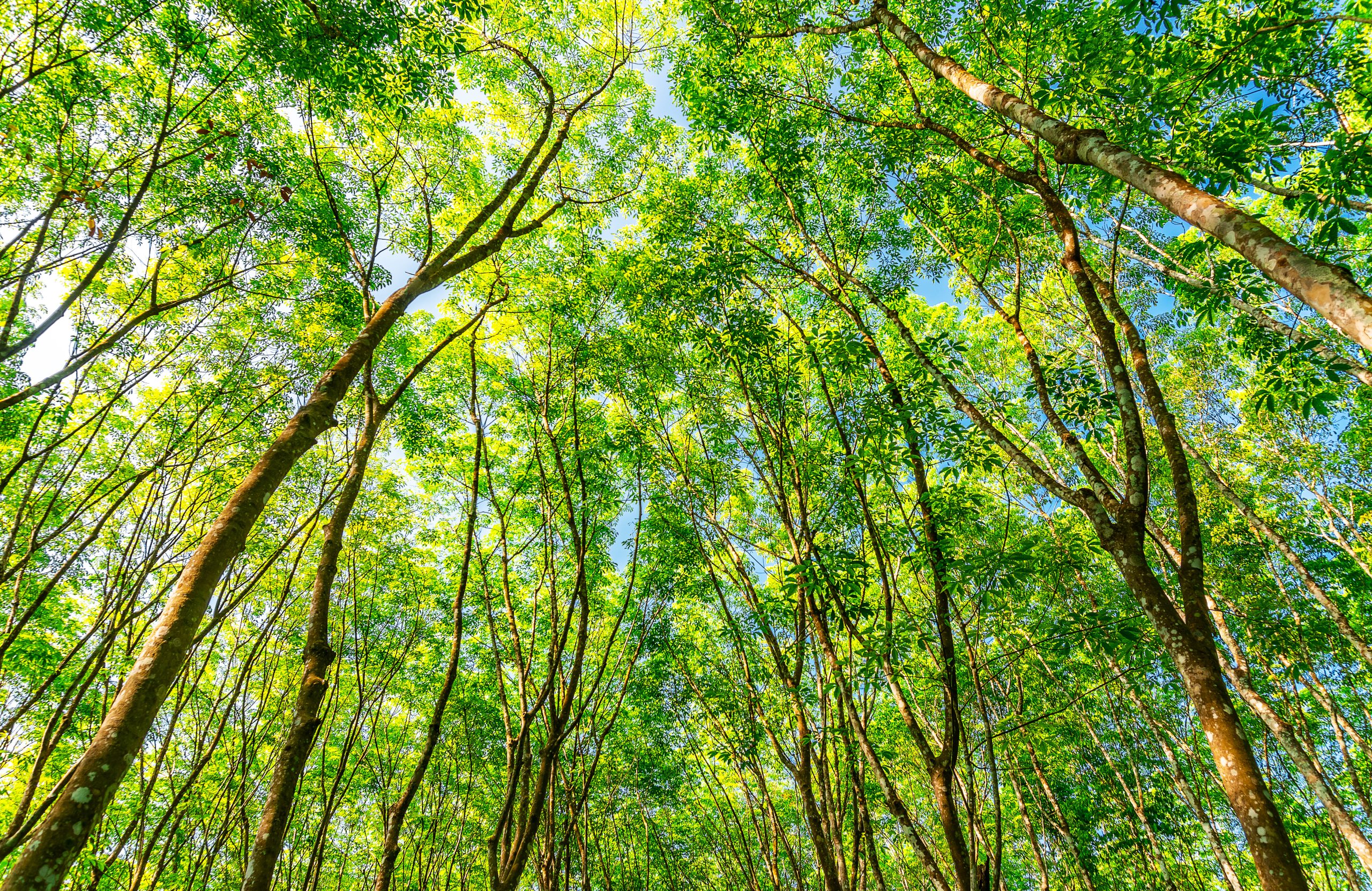 Natural rubber material for custom rubber parts